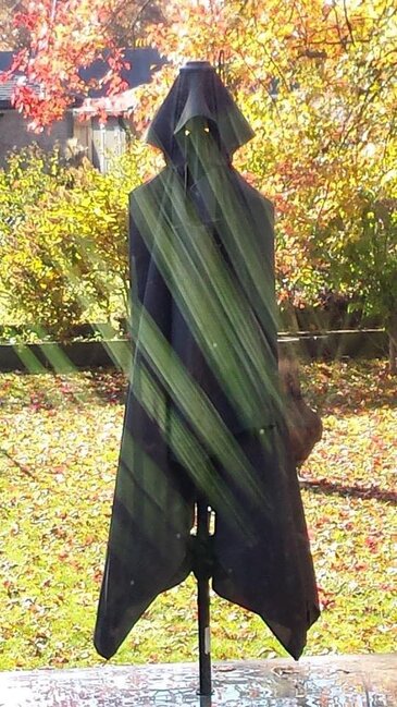 Dünyanın hər yerindən olan insanlar öz evlərində "yadplanetlilər"i görməyə başlayıblar - FOTOLAR