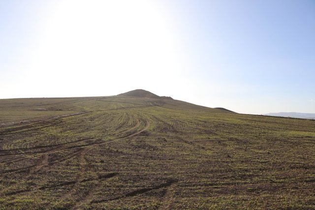 İkiyə araladılar və içindən çıxanlara heç kim inanmadı/ FOTOLAR