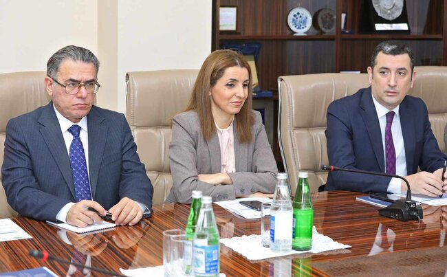 Dövlət Miqrasiya Xidməti və Medianın İnkişafı Agentliyinin birgə təşkilatçılığı ilə media nümayəndələri üçün seminar keçirilib