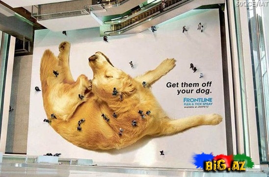Maraqli reklam şəkilləri - FOTO