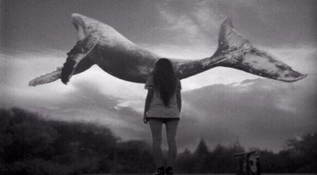 Dünyada onlarla uşağı öldürən qorxunc oyun Azərbaycanda-"Tarqovıy uşaqları" adlı qrupları var imiş