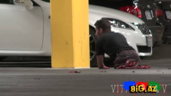 Bu prikol adamı dəli edər - VİDEO - 18+