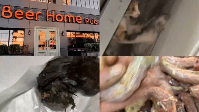 Reklamda lüks, reallıqda isə dəhşət: "Beer Home Pub" restoranının mətbəxindən iyrənc görüntülər