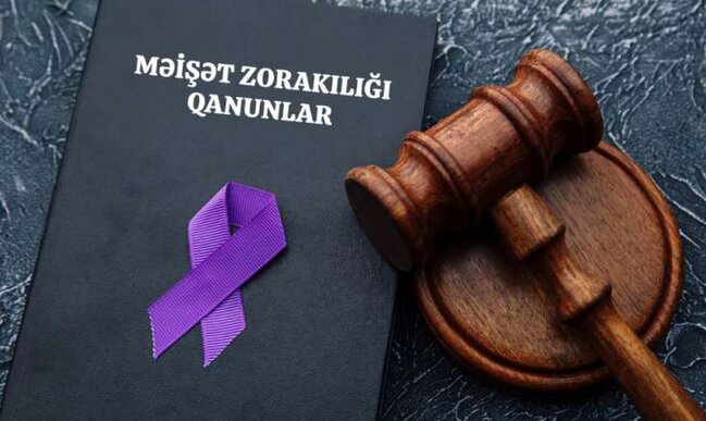 Məişət Zorakılığı ilə Mübarizə: Statistik Rəqəmlər və Sosial Təsirlər - ARAŞDIRMA