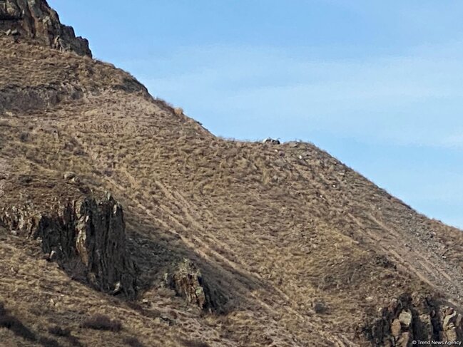 8 nəfərin minaya düşdüyü yerdən GÖRÜNTÜLƏR