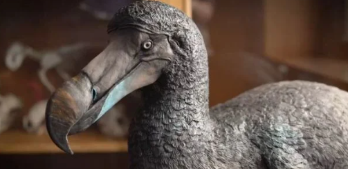 10 min il əvvəl nəsli kəsilən canavarı diriltdilər, növbədə 3 heyvan var