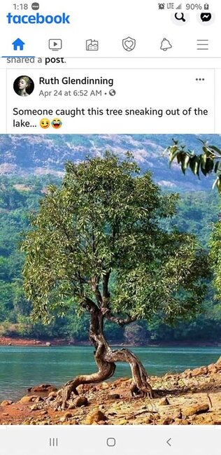 Dünyanın hər yerindən olan insanlar öz evlərində "yadplanetlilər"i görməyə başlayıblar - FOTOLAR