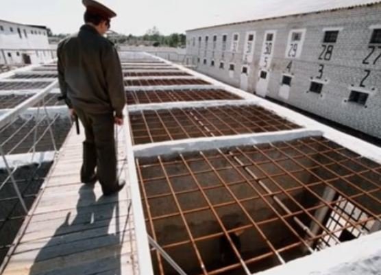 Rusiyanın vahiməli "Belıy Lebed" həbsxanasının görüntüləri - VİDEO