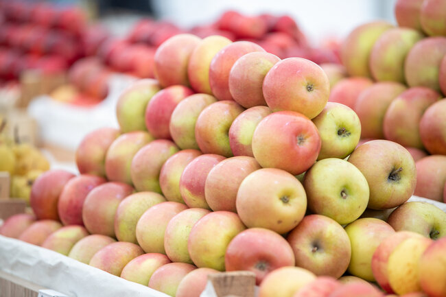 Novruz yarmarkaları fəaliyyətə başladı - FOTOLAR
