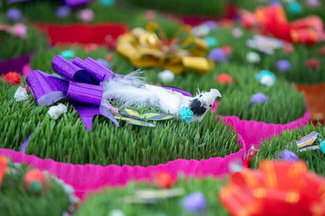 Novruz yarmarkaları fəaliyyətə başladı - FOTOLAR