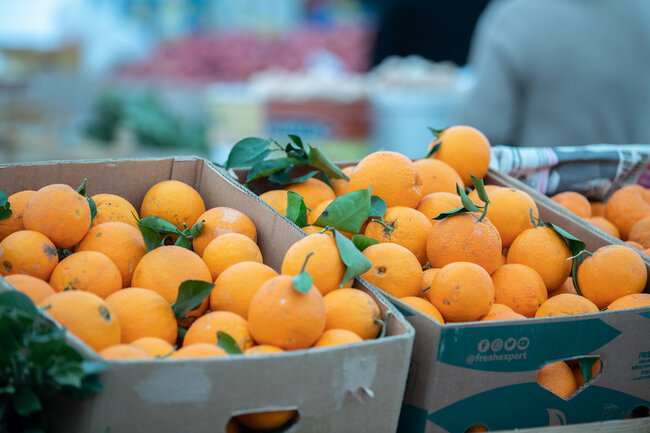 Novruz yarmarkaları fəaliyyətə başladı - FOTOLAR