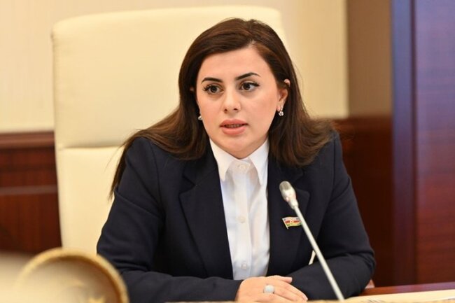"Azərbaycanın Mərkəzi Asiya ölkələri ilə yaxınlaşması yalnız iqtisadi maraqlara əsaslanmır" - millət vəkili Pərvanə Vəliyeva