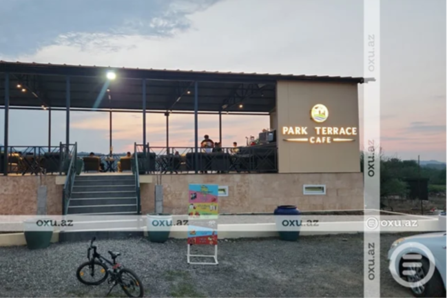 Masallıda restoran rəhbərliyi ağacların kökündən çıxarılmasına görə CƏRİMƏLƏNDİ - FOTO