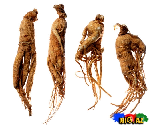 Jenşenin inanılmaz faydaları