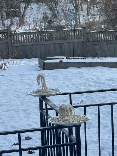 Donmuş spagetti viral oldu - Video