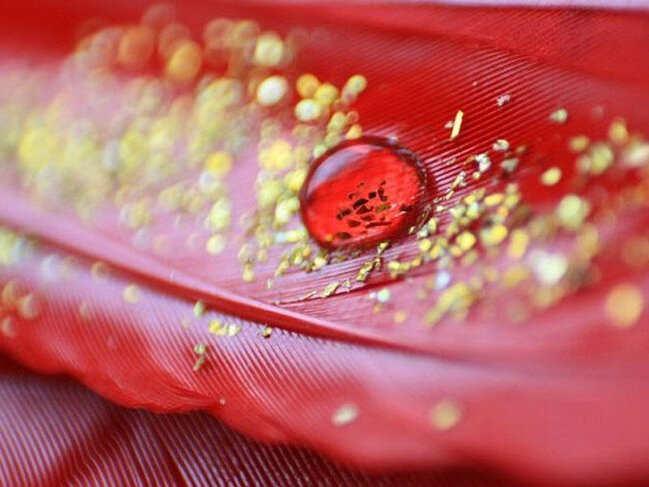 Bu qan qrupu dünyada cəmi 43 adamdadır