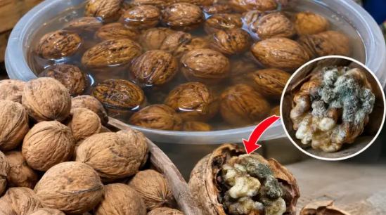 Suya salınmış qozda gizli təhlükə: Qəsdən batırırlarmış