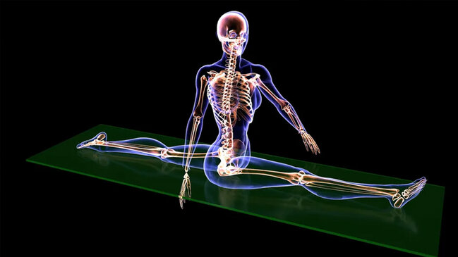 İnsan bədənində hansı "artıq" sümüklər var? - Cavab sizi təəccübləndirəcək