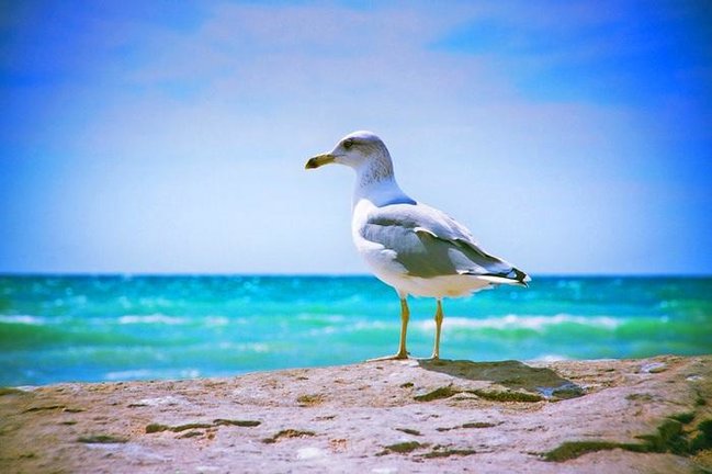 Alimlərdən Xəzərlə bağlı QORXUNC XƏBƏRDARLIQ: Dəhşətli nəticələrə...