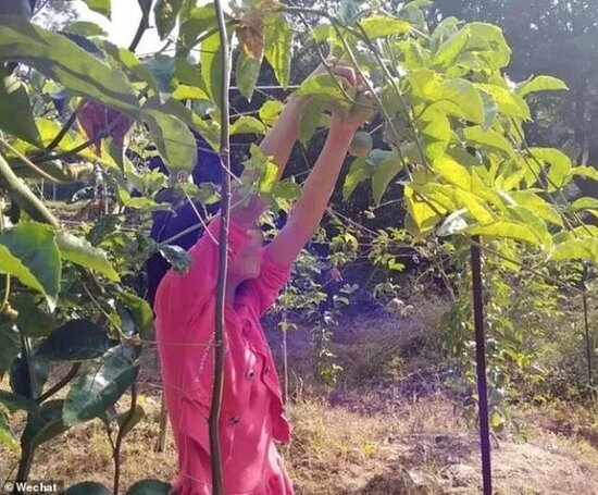 ŞOK OLAY: 10 yaşlı qıza təcavüz edib, ürəyindən BIÇAQLADI - FOTO