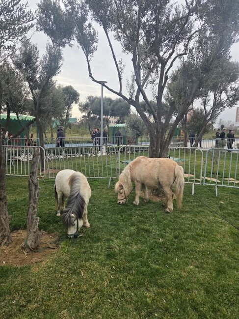 Paytaxtda möhtəşəm Novruz şənliyi