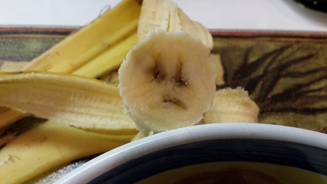 Dünyanın hər yerindən olan insanlar öz evlərində "yadplanetlilər"i görməyə başlayıblar - FOTOLAR