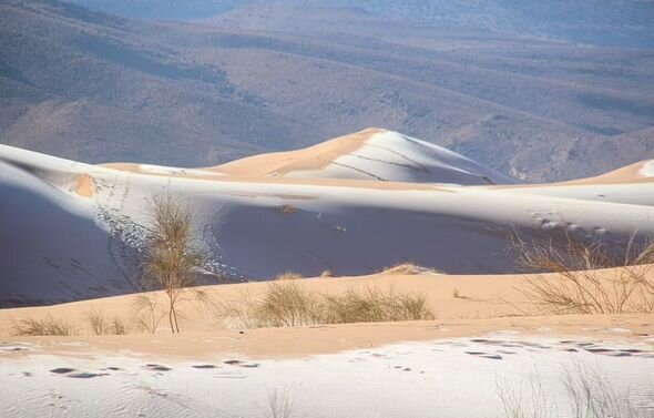Sahara səhrasına qar yağdı - FOTO