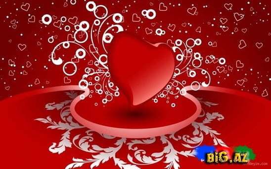 14 fevral- sevgililər günüdür