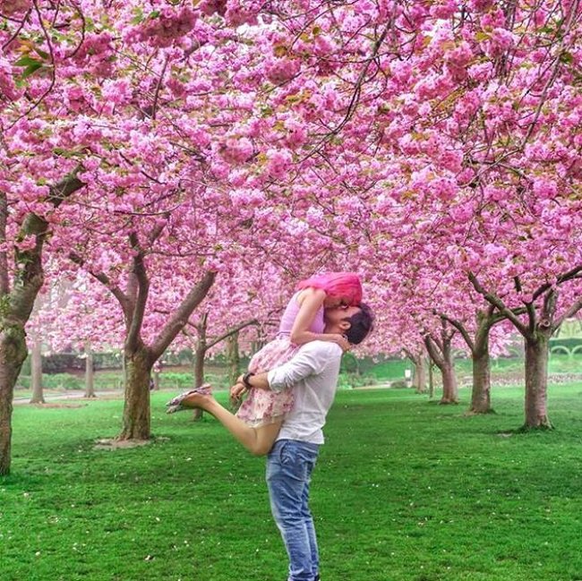 Fenomen cütlük uçurumdan düşüb öldü - Fotolar