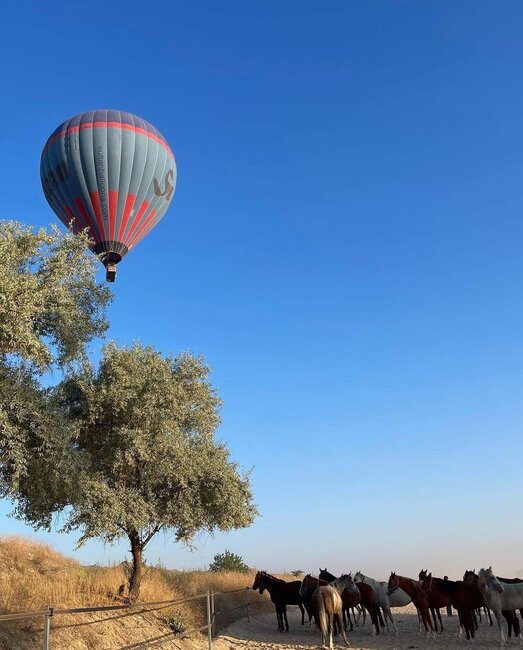 Günay bu dəfə Kapadokiyada - Fotolar