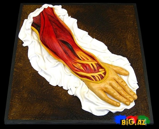 Bu tortlar adamın ürəyini ağzına gətirir - FOTO