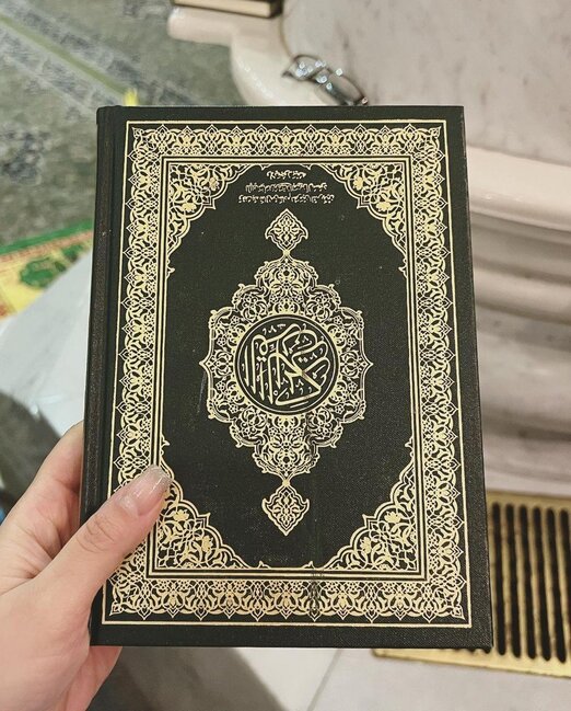 Mina Mədinəyə getdi - FOTOLAR