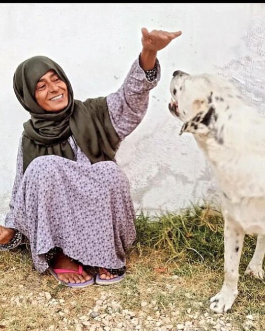 Yıldız Tilbe geyimi ilə təəccübləndirdi - Fotolar