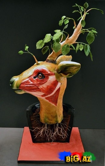 Bu tortlar adamın ürəyini ağzına gətirir - FOTO