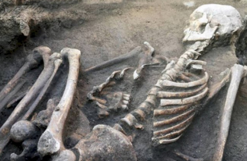 Meşədən insan skeletləri tapıldı