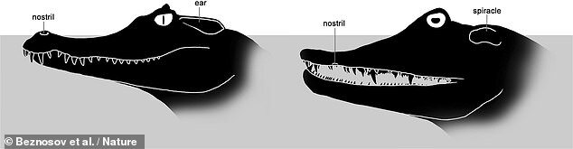 Təkamül nəzəriyyəsini TƏKZİB EDƏN varlıq tapıldı - FOTO