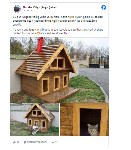 Şuşada pişiklər üçün sığınacaq yaradılıb - FOTO