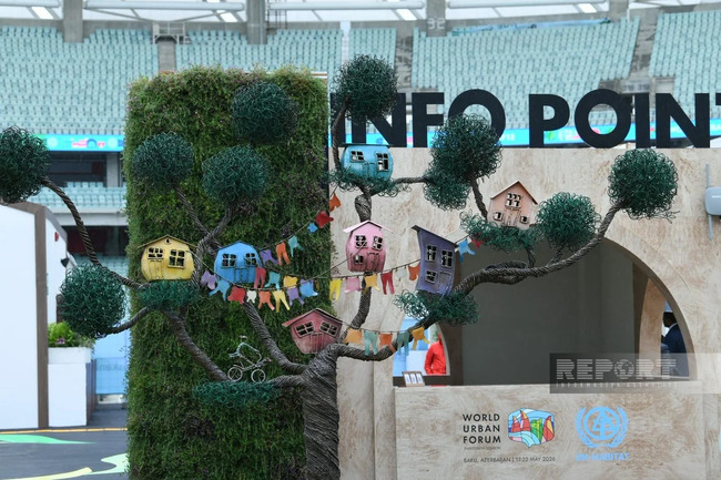 WUF13-ün birinci günü başa çatıb - FOTOLAR