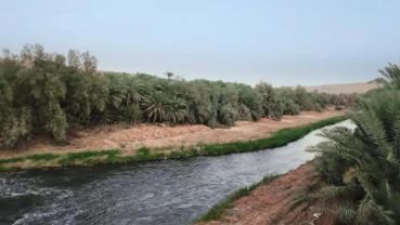 Səhranın mərkəzində çiçəklənən sahilləri olan çay: Bunu necə yaradıblar?