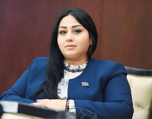 "Metal filizlərinin hasilatı və emalı sənayenin digər istiqamətlərinin inkişafına da müsbət təsir göstərə bilər" - ÜLVİYYƏ HƏMZƏYEVA