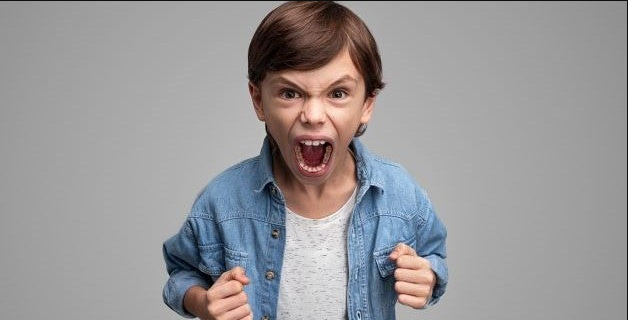 "Evdə tez-tez qışqırıq və münaqişə olarsa, uşaq da bunu normal ünsiyyət forması kimi qəbul edir" - Psixoloq