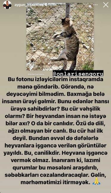 "Bu cür vəhşilik olar?" - Aygün Kazımova əsəbiləşdi