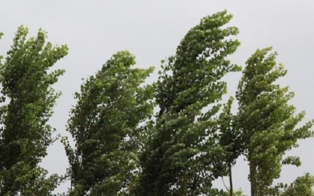 Прогноз погоды на завтра