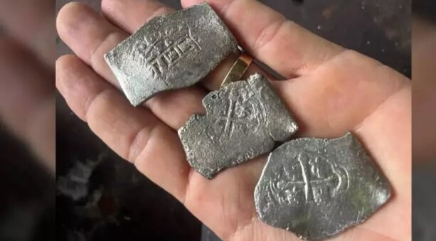 Bağında qurd axtarırdı, xəzinə tapdı - Fotolar