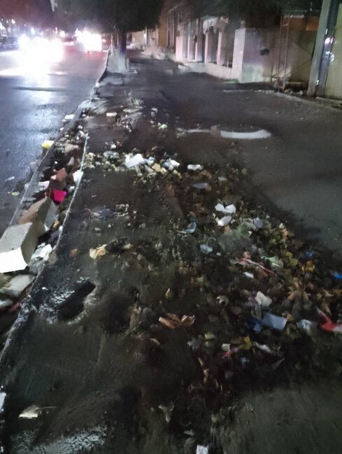 Xırdalanda tikintiyə görə ağaclar kəsildi - Fotolar