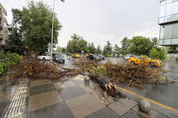 Yağışlara görə təhsil müəssisələri bağlandı