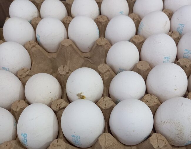 "Giləzi" quşçuluq saxta məhsullarla insanları necə aldadır? - ARAŞDIRMA - FOTOLAR