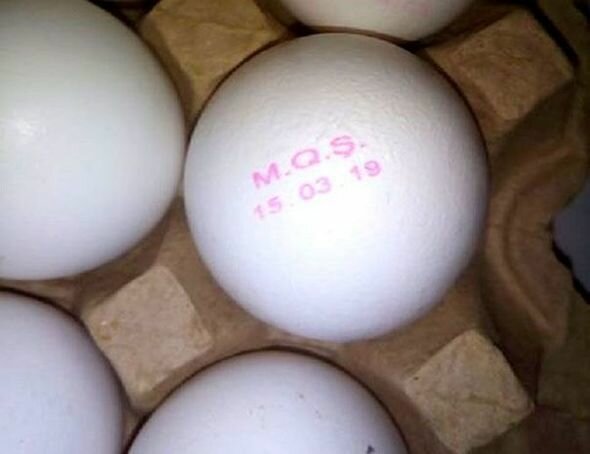 İstehsalından bir gün əvvəl satışa çıxarılan yumurtalarla bağlı - AÇIQLAMA