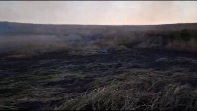 Qazaxda yanğına səbəb olan şəxs saxlanıldı