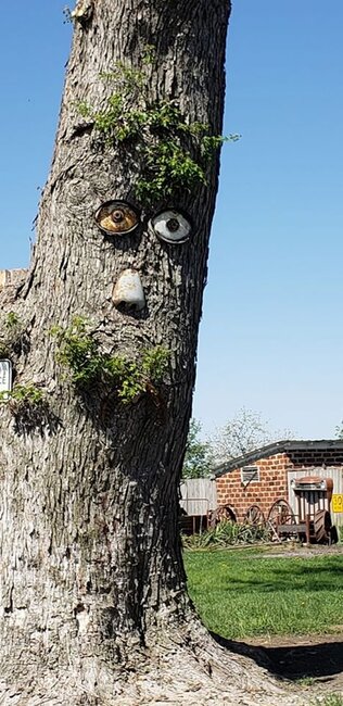 Dünyanın hər yerindən olan insanlar öz evlərində "yadplanetlilər"i görməyə başlayıblar - FOTOLAR